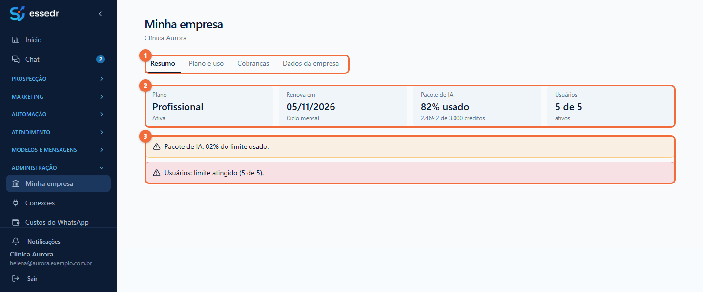 Aba Resumo da tela Minha empresa